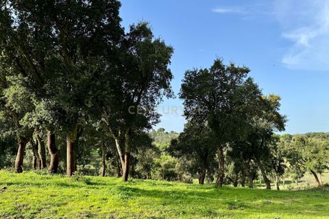 Helårsgrund i Azambuja, Lisbon, Azambuja - € 150.000 | Ref: C0409-01418 - foto 4