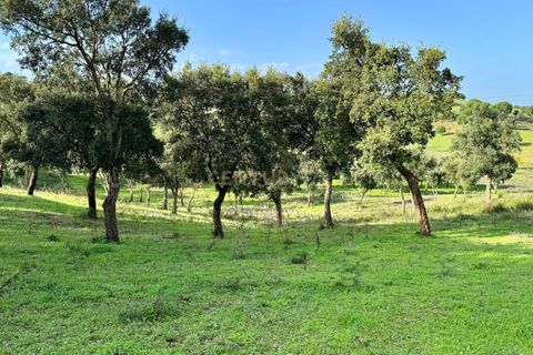 Helårsgrund i Azambuja, Lisbon, Azambuja - € 150.000 | Ref: C0409-01418 - foto 6