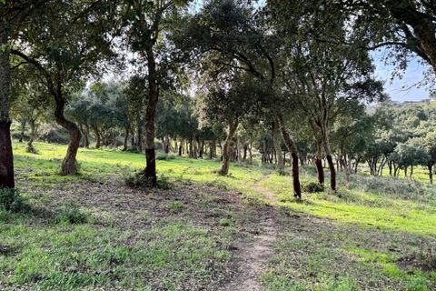 Helårsgrund i Azambuja, Lisbon, Azambuja - € 150.000 | Ref: C0409-01418 - foto 7