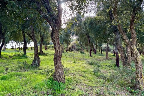 Helårsgrund i Azambuja, Lisbon, Azambuja - € 150.000 | Ref: C0409-01418 - foto 8