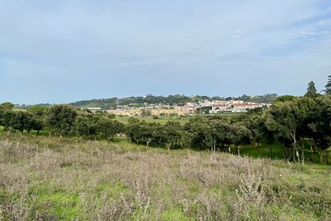 Helårsgrund i Azambuja, Lisbon, Azambuja - € 150.000 | Ref: C0409-01418 - foto 9