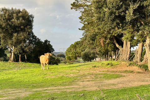 Helårsgrund i Azambuja, Lisbon, Azambuja - € 150.000 | Ref: C0409-01418 - foto 10