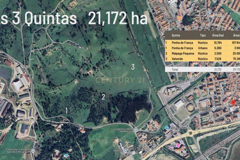 Helårsgrund i Azambuja, Lisbon, Azambuja - € 150.000 | Ref: C0409-01418 - foto 11