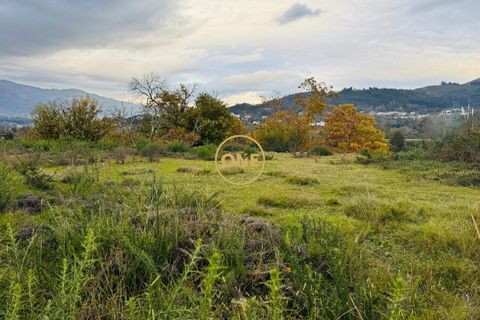 Helårsgrund i Ponte de Lima, Viana do Castelo, Ponte de Lima - € 85.000 | Ref: ONE0011234-213 - foto 12