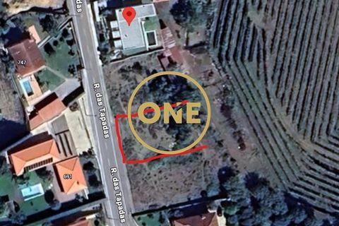 Helårsgrund i Ponte de Lima, Viana do Castelo, Ponte de Lima - € 85.000 | Ref: ONE0011234-213 - foto 17