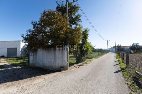 Farm hus i Setubal, Setubal, Setubal - € 405.000 | Ref: C0237-03688 - foto 38