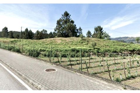 Helårsgrund i Amarante, Porto, Amarante - € 1.550.000 | Ref: 1066 - foto 6