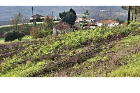 Helårsgrund i Amarante, Porto, Amarante - € 1.550.000 | Ref: 1065 - foto 10