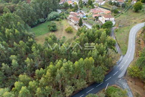 Helårsgrund i Vila Verde, Braga, Vila Verde - € 55.000 | Ref: 01-3742 - foto 8