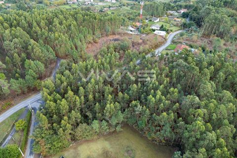 Helårsgrund i Vila Verde, Braga, Vila Verde - € 55.000 | Ref: 01-3742 - foto 17