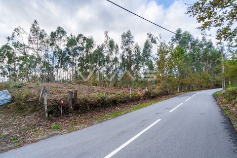 Helårsgrund i Vila Verde, Braga, Vila Verde - € 55.000 | Ref: 01-3742 - foto 19