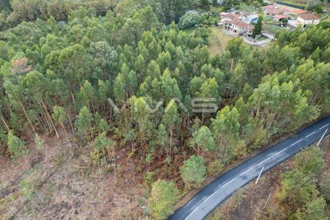 Helårsgrund i Vila Verde, Braga, Vila Verde - € 55.000 | Ref: 01-3741 - foto 7