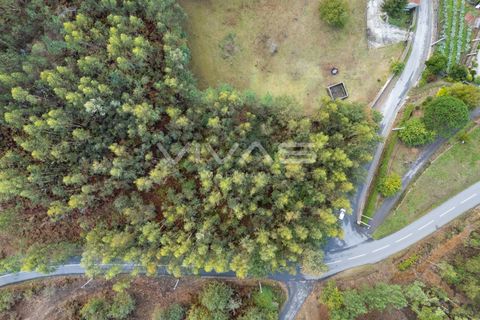 Helårsgrund i Vila Verde, Braga, Vila Verde - € 55.000 | Ref: 01-3741 - foto 10