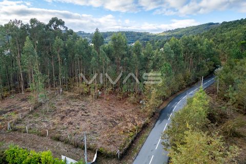 Helårsgrund i Vila Verde, Braga, Vila Verde - € 55.000 | Ref: 01-3741 - foto 13