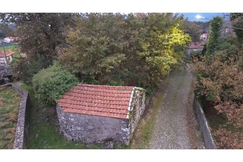Ruinere i Viana do Castelo, Viana do Castelo, Viana do Castelo - € 75.000 | Ref: 2195 - foto 5