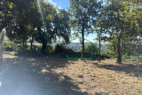 Ruinere i Viana do Castelo, Viana do Castelo, Viana do Castelo - € 75.000 | Ref: 2195 - foto 11
