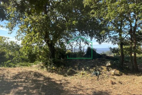 Ruinere i Viana do Castelo, Viana do Castelo, Viana do Castelo - € 75.000 | Ref: 2195 - foto 12