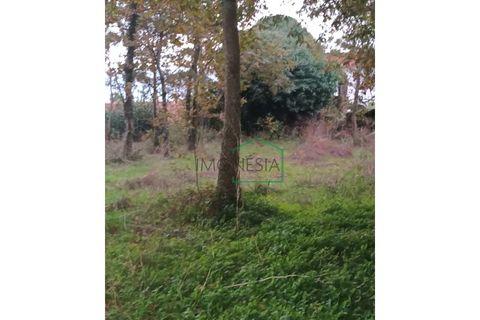 Ruinere i Viana do Castelo, Viana do Castelo, Viana do Castelo - € 75.000 | Ref: 2195 - foto 14