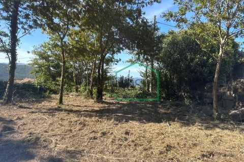 Ruinere i Viana do Castelo, Viana do Castelo, Viana do Castelo - € 75.000 | Ref: 2195 - foto 15