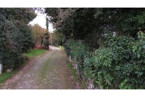 Ruinere i Viana do Castelo, Viana do Castelo, Viana do Castelo - € 75.000 | Ref: 2195 - foto 18