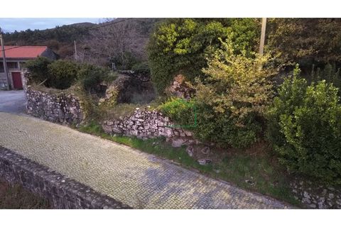 Ruinere i Viana do Castelo, Viana do Castelo, Viana do Castelo - € 75.000 | Ref: 2195 - foto 20