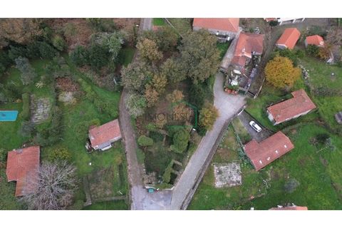 Ruinere i Viana do Castelo, Viana do Castelo, Viana do Castelo - € 75.000 | Ref: 2195 - foto 21