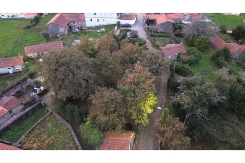 Ruinere i Viana do Castelo, Viana do Castelo, Viana do Castelo - € 75.000 | Ref: 2195 - foto 23