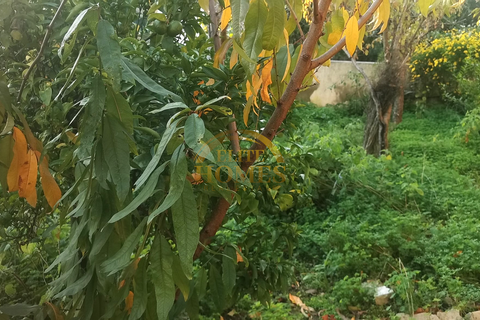 Villa a Cadaval, Lisbon, Cadaval - € 390.000 | Ref: MV25/001 - foto 43