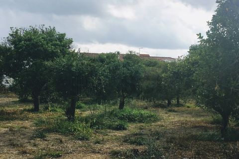 Villa a Serpa, Beja, Serpa - € 1.200.000 | Ref: 10617 - foto 20