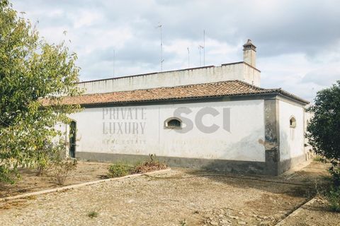 Villa a Serpa, Beja, Serpa - € 1.200.000 | Ref: 10617 - foto 21