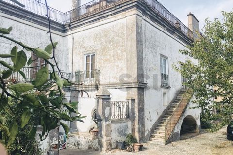 Villa a Serpa, Beja, Serpa - € 1.200.000 | Ref: 10617 - foto 23