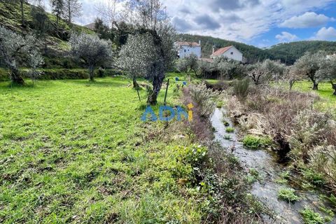 Villa i Castelo Branco, Castelo Branco, Castelo Branco - € 97.500 | Ref: 125121 - foto 24