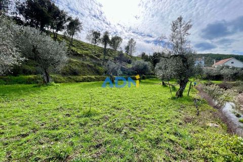 Villa i Castelo Branco, Castelo Branco, Castelo Branco - € 97.500 | Ref: 125121 - foto 26