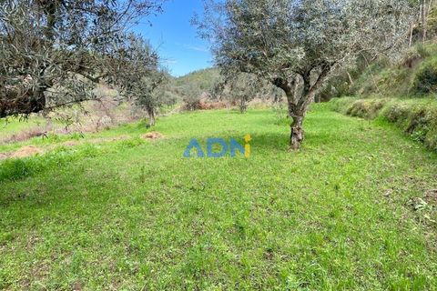 Villa i Castelo Branco, Castelo Branco, Castelo Branco - € 97.500 | Ref: 125121 - foto 27