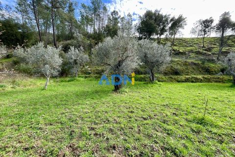 Villa i Castelo Branco, Castelo Branco, Castelo Branco - € 97.500 | Ref: 125121 - foto 28