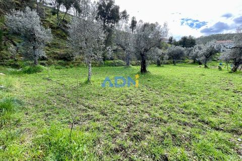 Villa i Castelo Branco, Castelo Branco, Castelo Branco - € 97.500 | Ref: 125121 - foto 29