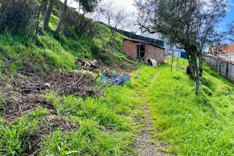 Villa i Castelo Branco, Castelo Branco, Castelo Branco - € 97.500 | Ref: 125121 - foto 32