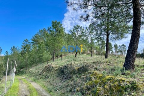 Villa i Castelo Branco, Castelo Branco, Castelo Branco - € 97.500 | Ref: 125121 - foto 33