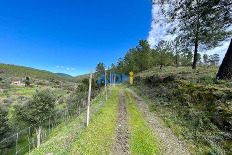 Villa i Castelo Branco, Castelo Branco, Castelo Branco - € 97.500 | Ref: 125121 - foto 34