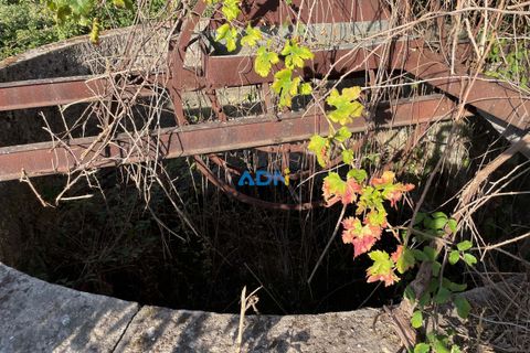 Terra a Alcains, Castelo Branco, Alcains - € 160.000 | Ref: 125126 - foto 2