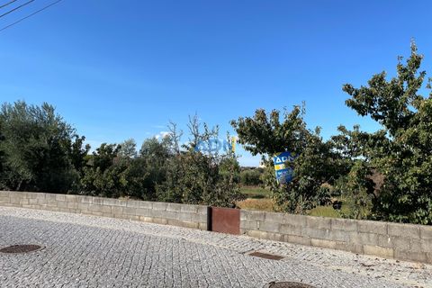 Terra a Alcains, Castelo Branco, Alcains - € 160.000 | Ref: 125126 - foto 5