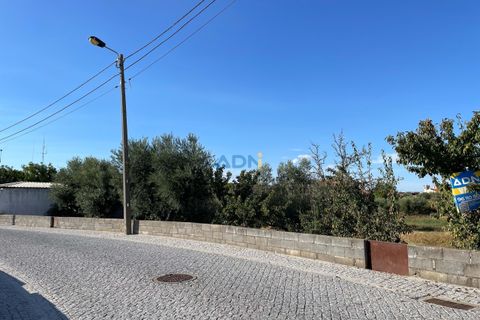 Terra a Alcains, Castelo Branco, Alcains - € 160.000 | Ref: 125126 - foto 6