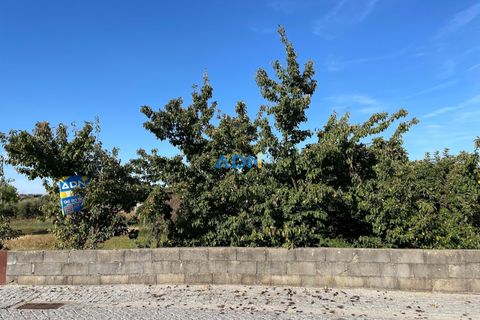Terra a Alcains, Castelo Branco, Alcains - € 160.000 | Ref: 125126 - foto 7