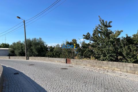 Terra a Alcains, Castelo Branco, Alcains - € 160.000 | Ref: 125126 - foto 8