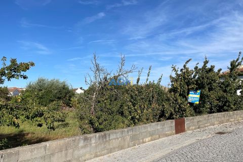 Terra a Alcains, Castelo Branco, Alcains - € 160.000 | Ref: 125126 - foto 9