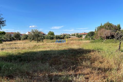 Terra a Alcains, Castelo Branco, Alcains - € 160.000 | Ref: 125126 - foto 10