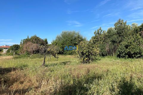 Terra a Alcains, Castelo Branco, Alcains - € 160.000 | Ref: 125126 - foto 11