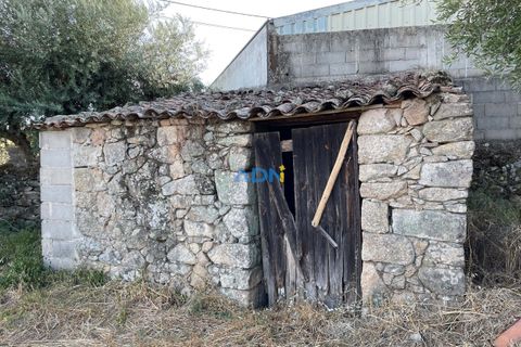 Terra a Alcains, Castelo Branco, Alcains - € 160.000 | Ref: 125126 - foto 12