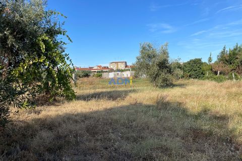 Terra a Alcains, Castelo Branco, Alcains - € 160.000 | Ref: 125126 - foto 13