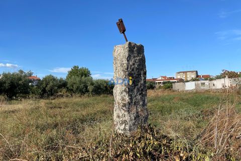 Terra a Alcains, Castelo Branco, Alcains - € 160.000 | Ref: 125126 - foto 14